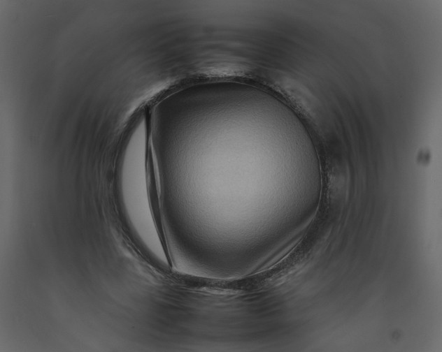 X0000092230539200710051220