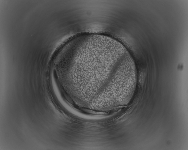 X0000092230540200710051220