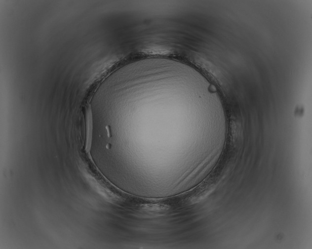 X0000092230541200710051220