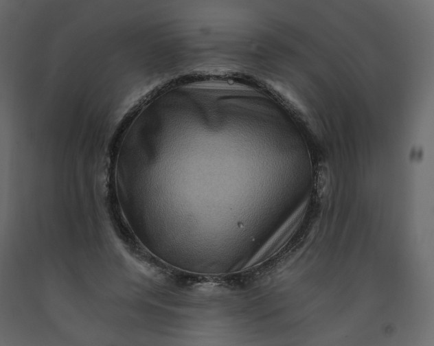 X0000092230544200710051221