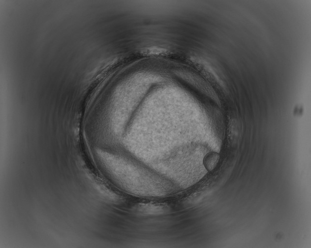 X0000092230545200710051221