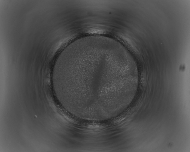 X0000092230547200710051221