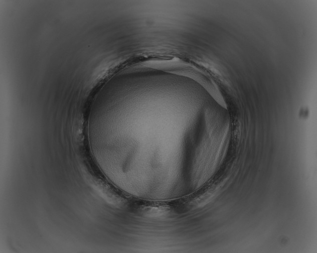 X0000092230548200710051221