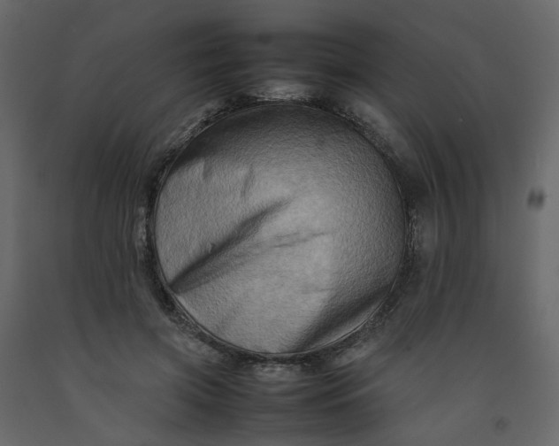 X0000092230549200710051221