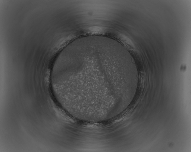 X0000092230550200710051221