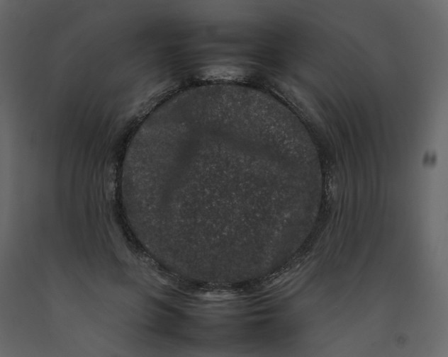 X0000092230551200710051221