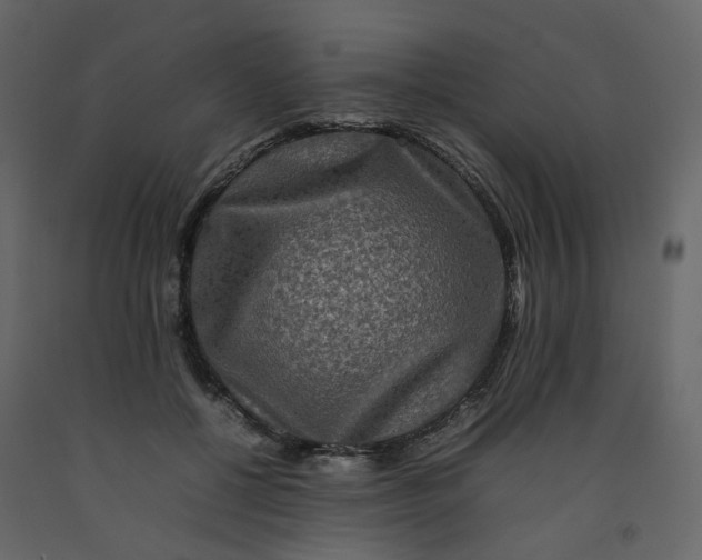 X0000092230552200710051221