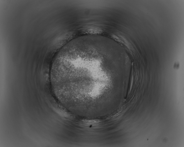 X0000092230553200710051221