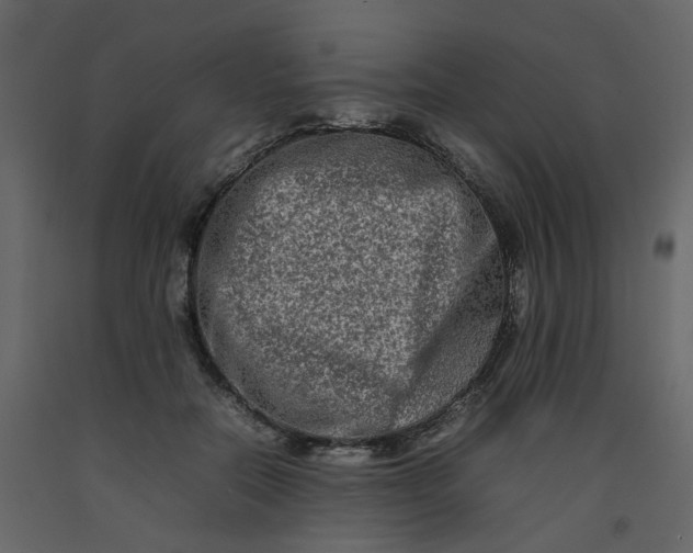 X0000092230554200710051221