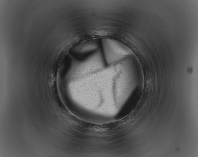 X0000092230555200710051221