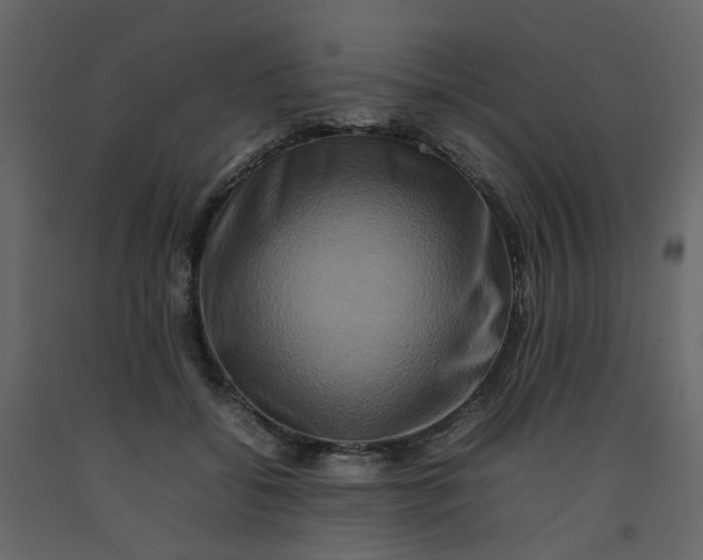 X0000092230556200710051221