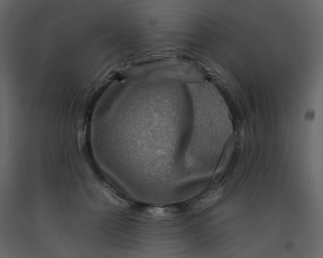 X0000092230558200710051221