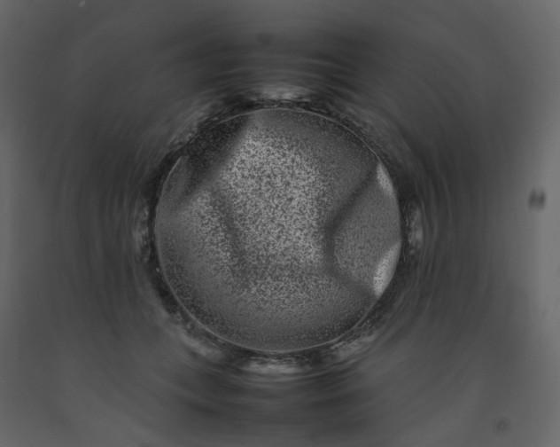 X0000092230559200710051221