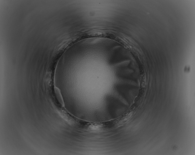 X0000092230560200710051221