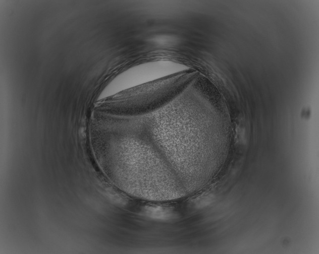 X0000092230561200710051221