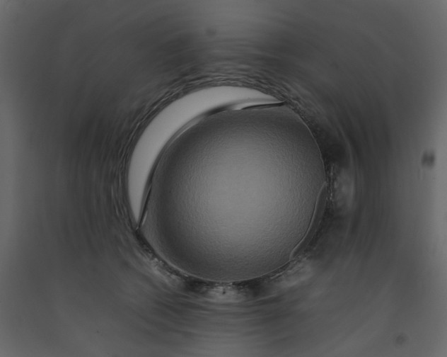 X0000092230562200710051221