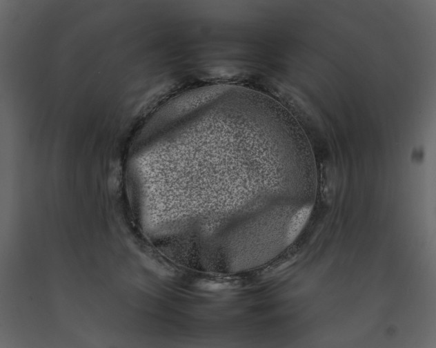 X0000092230563200710051221