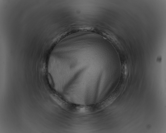 X0000092230564200710051221