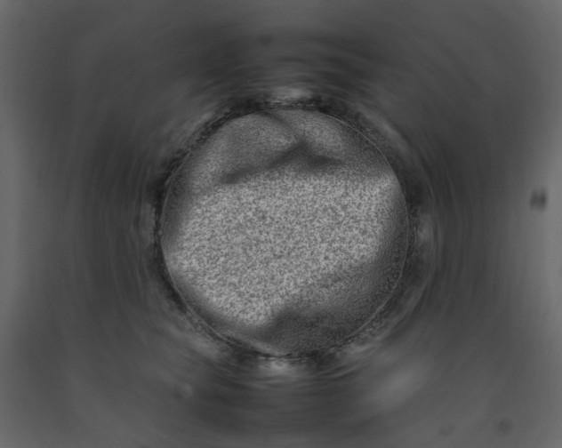 X0000092230565200710051221