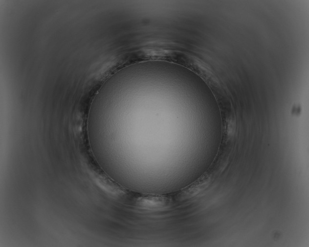 X0000092230567200710051221