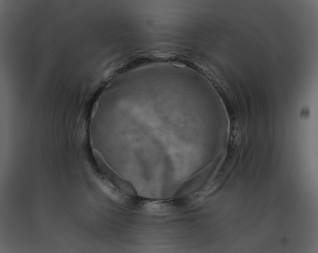 X0000092230568200710051221