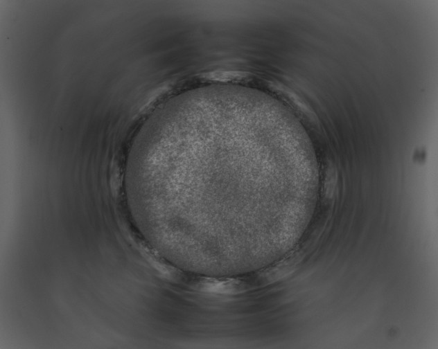 X0000092230569200710051221