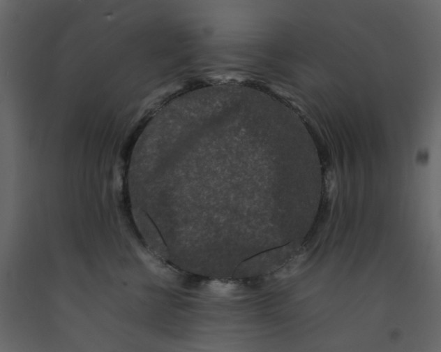 X0000092230570200710051221