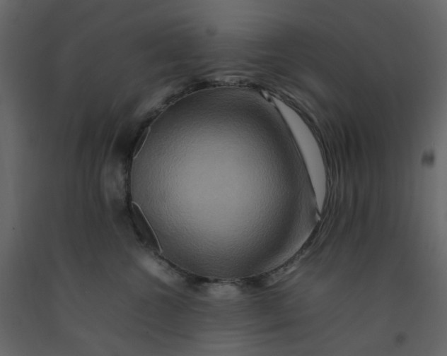 X0000092230572200710051221