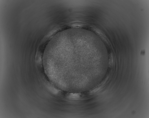 X0000092230573200710051221