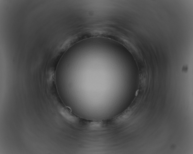 X0000092230574200710051221