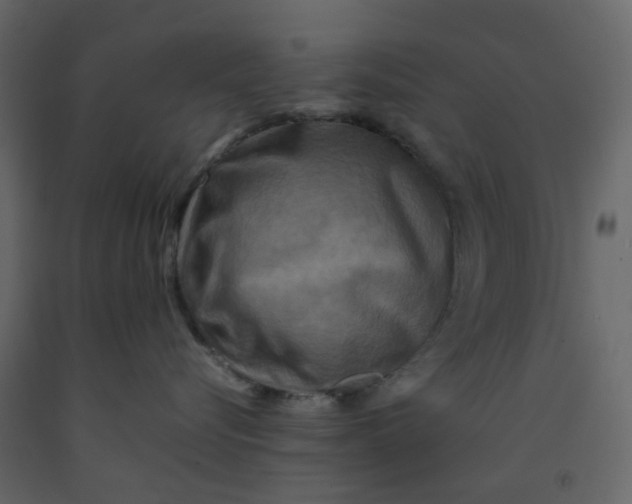 X0000092230576200710051221