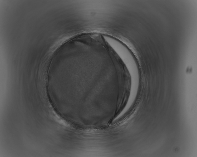 X0000092230577200710051220