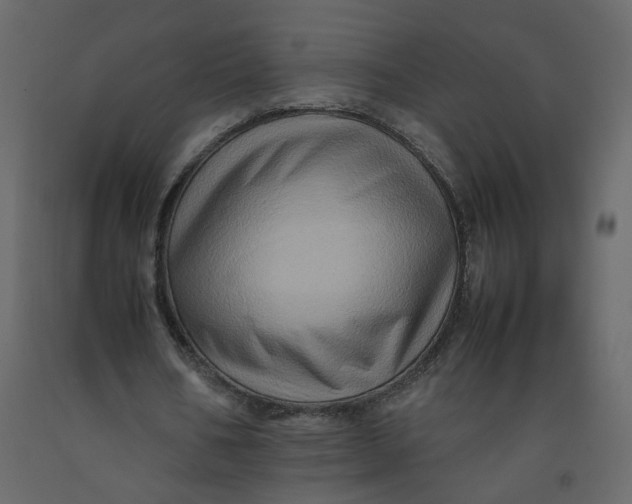 X0000092230578200710051220