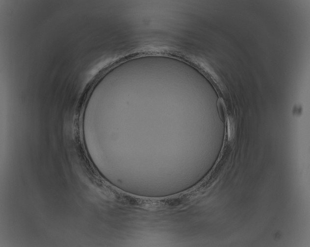 X0000092230579200710051220