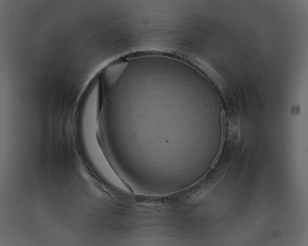 X0000092230580200710051220