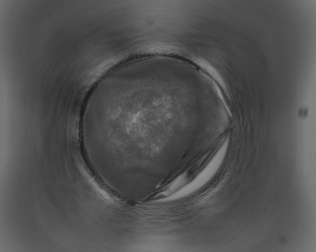 X0000092230581200710051220