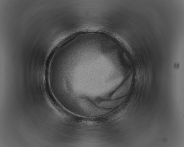 X0000092230582200710051220