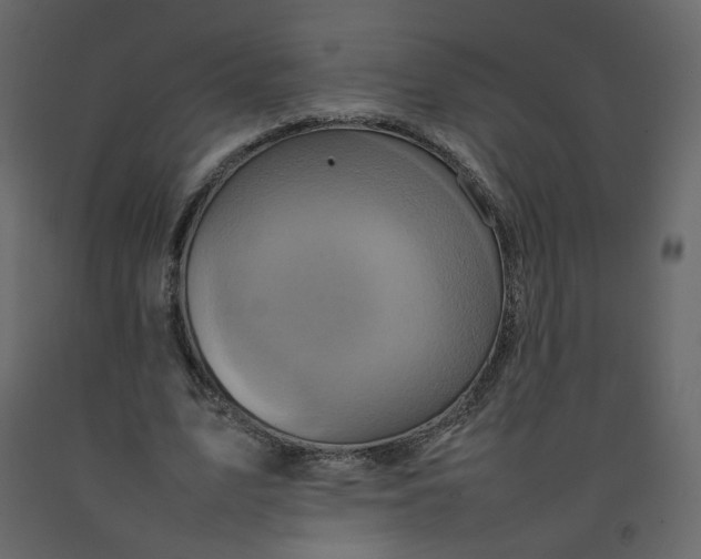 X0000092230583200710051220