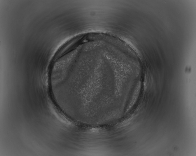 X0000092230584200710051220