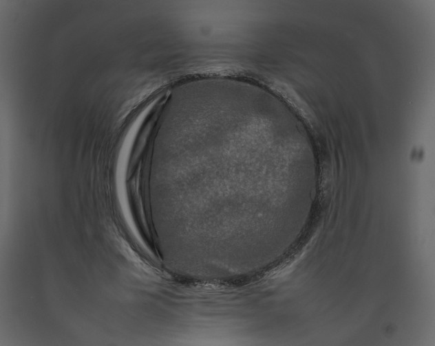 X0000092230585200710051220