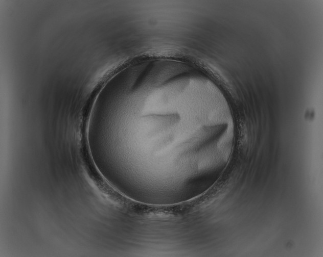 X0000092230586200710051220