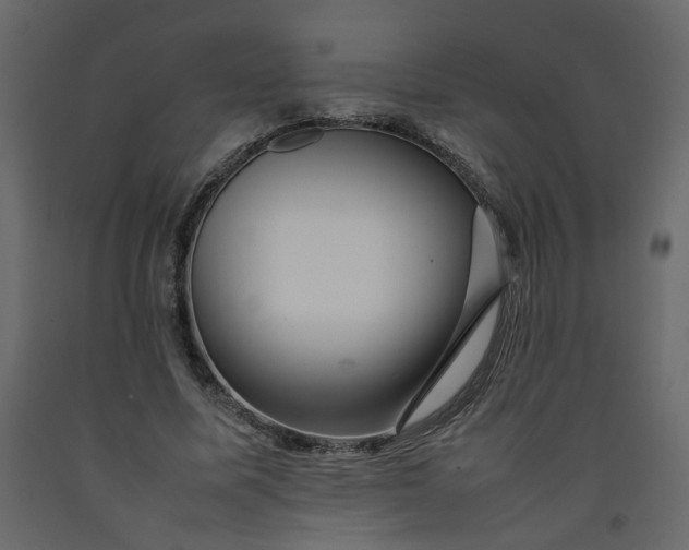 X0000092230587200710051220