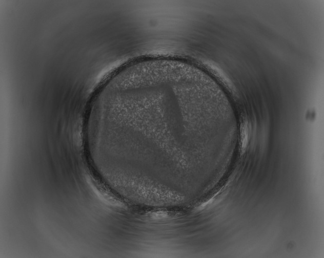 X0000092230588200710051220