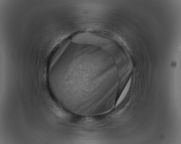 X0000092230589200710051220