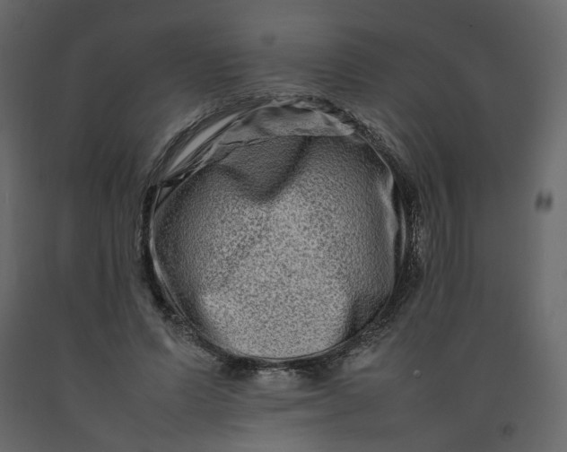 X0000092230591200710051220