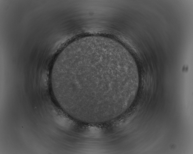 X0000092230592200710051220