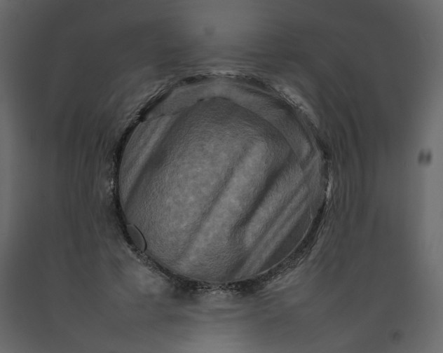 X0000092230593200710051220