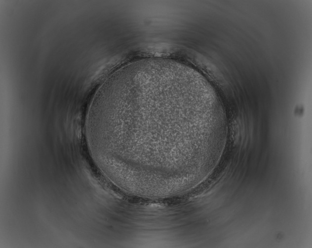 X0000092230594200710051220