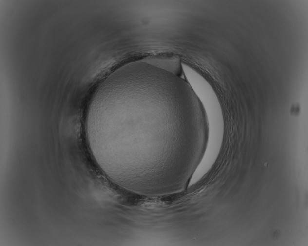 X0000092230595200710051220