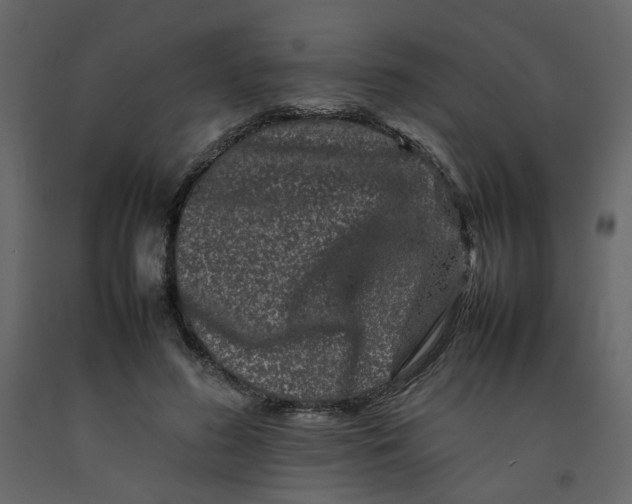 X0000092230596200710051220